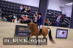 21_BUCK_03918 proof
