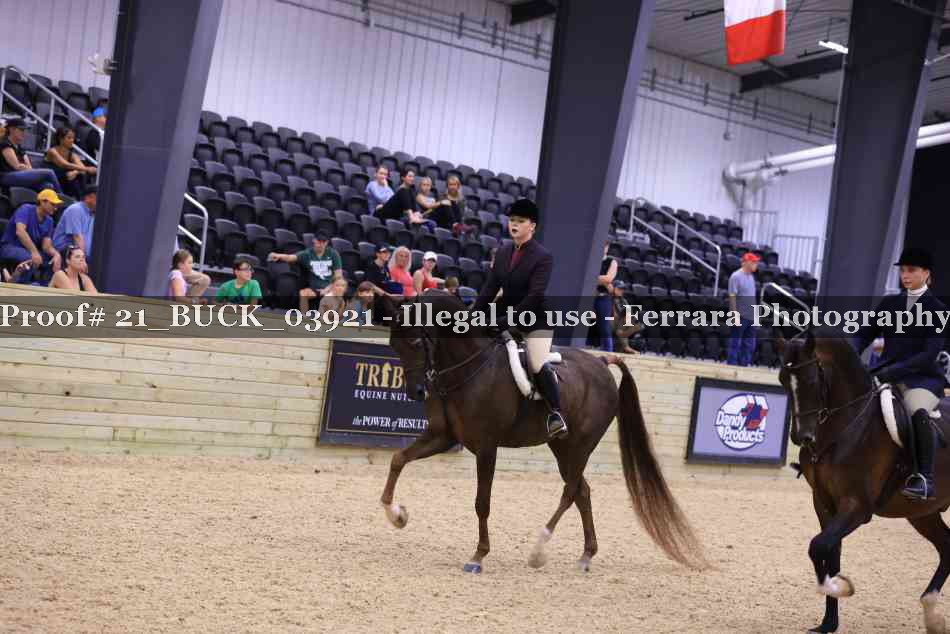 Proof 21_BUCK_03921