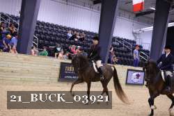 21_BUCK_03921 proof