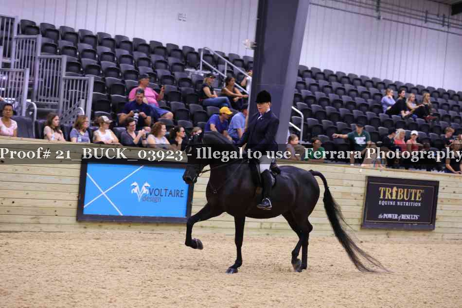 Proof 21_BUCK_03923