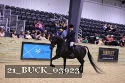 21_BUCK_03923 proof