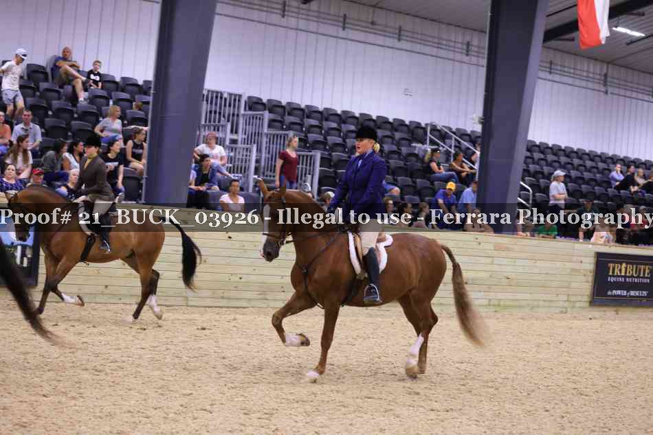 Proof 21_BUCK_03926