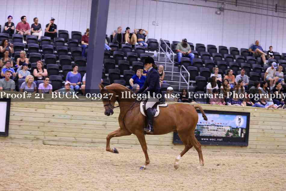 Proof 21_BUCK_03927