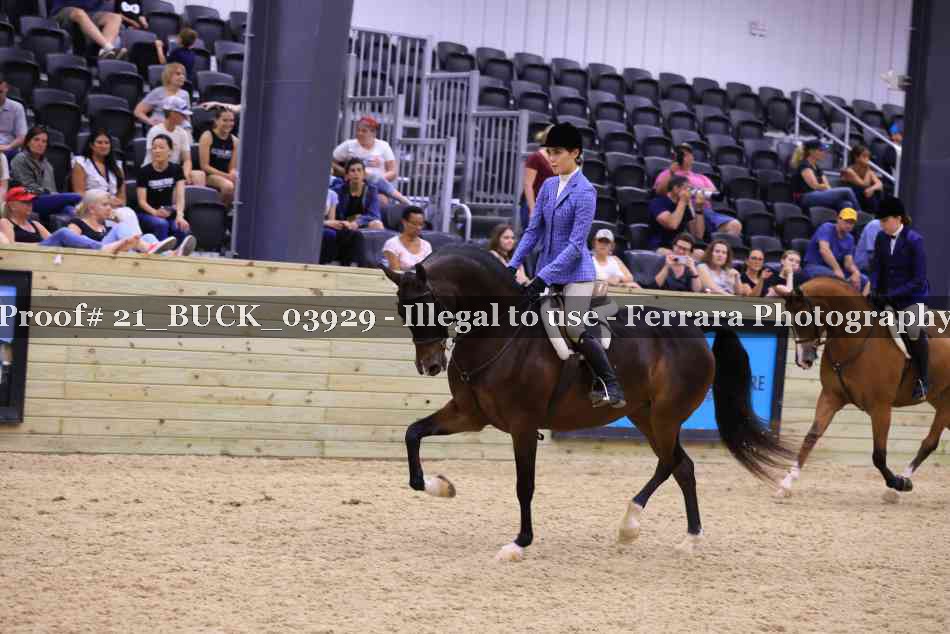 Proof 21_BUCK_03929