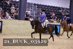 21_BUCK_03929 proof
