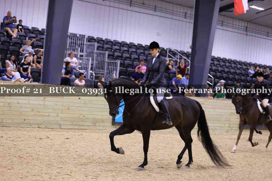 Proof 21_BUCK_03931