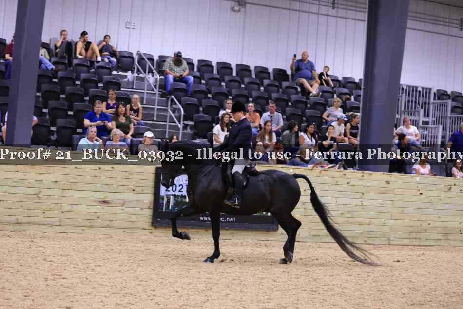 Proof 21_BUCK_03932
