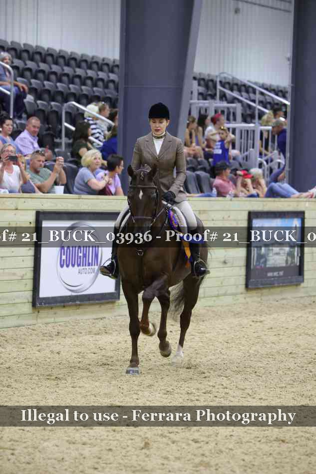 Proof 21_BUCK_03936
