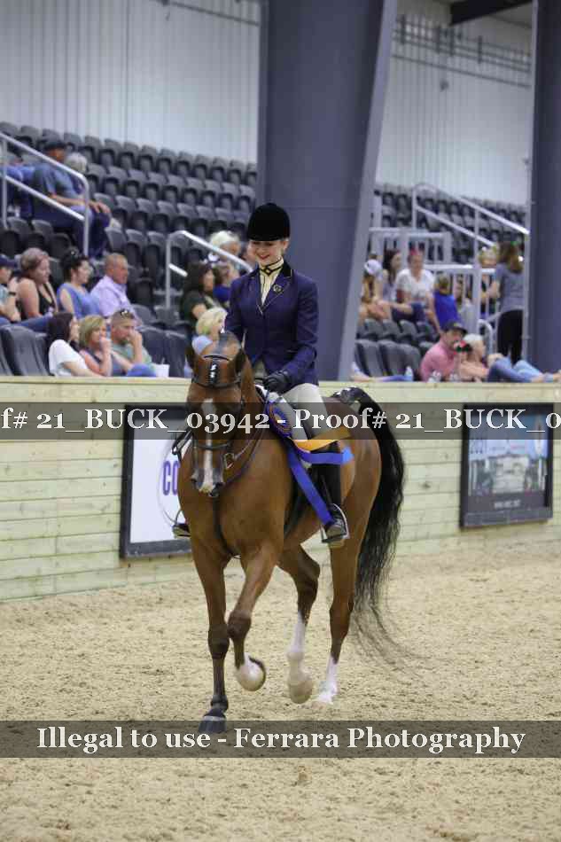 Proof 21_BUCK_03942
