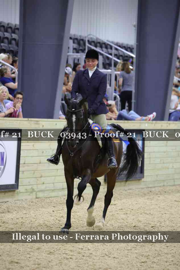 Proof 21_BUCK_03943