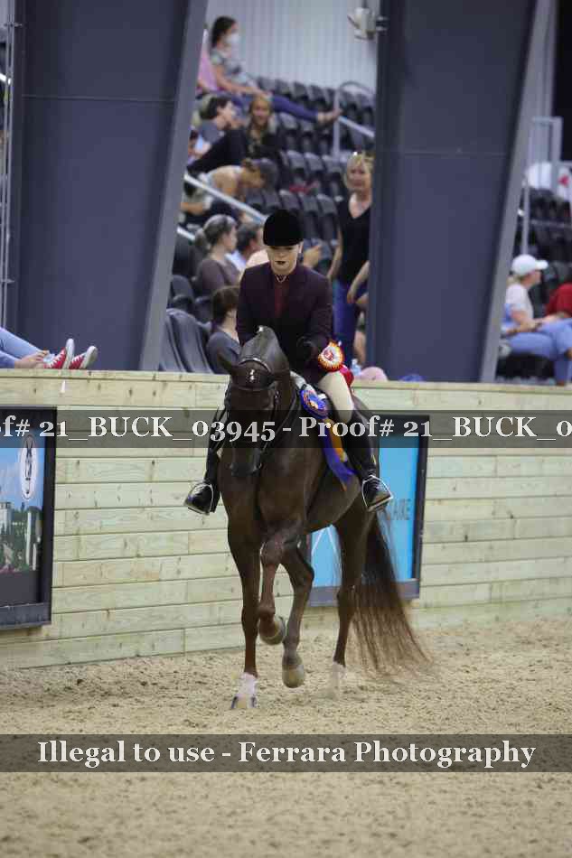 Proof 21_BUCK_03945