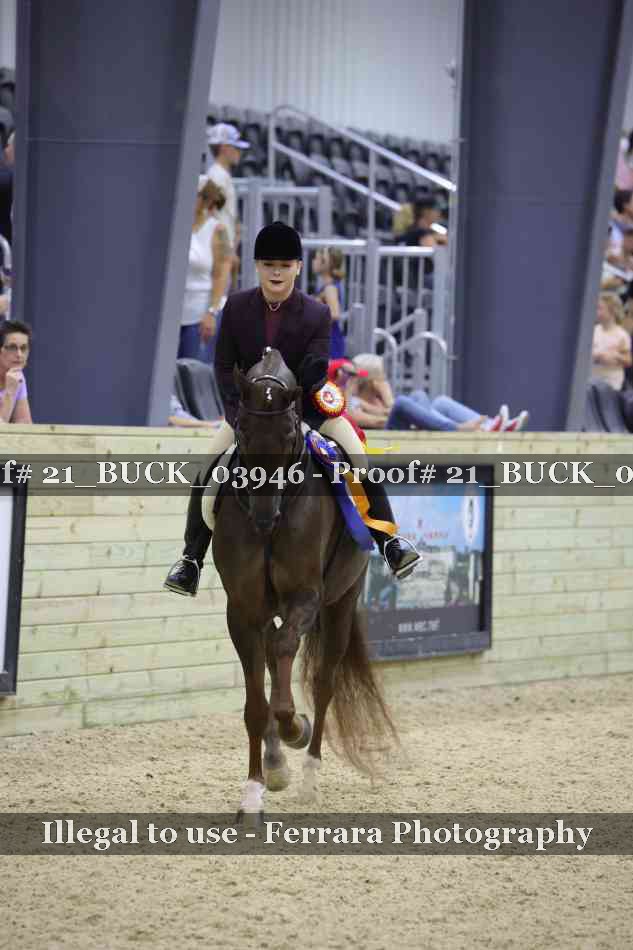 Proof 21_BUCK_03946