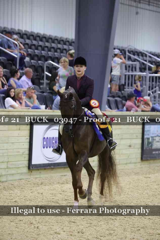 Proof 21_BUCK_03947