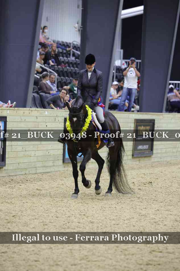 Proof 21_BUCK_03948