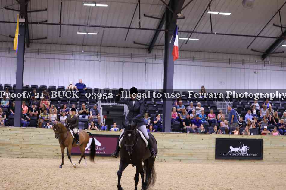 Proof 21_BUCK_03952
