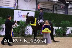21_BUCK_03954 proof