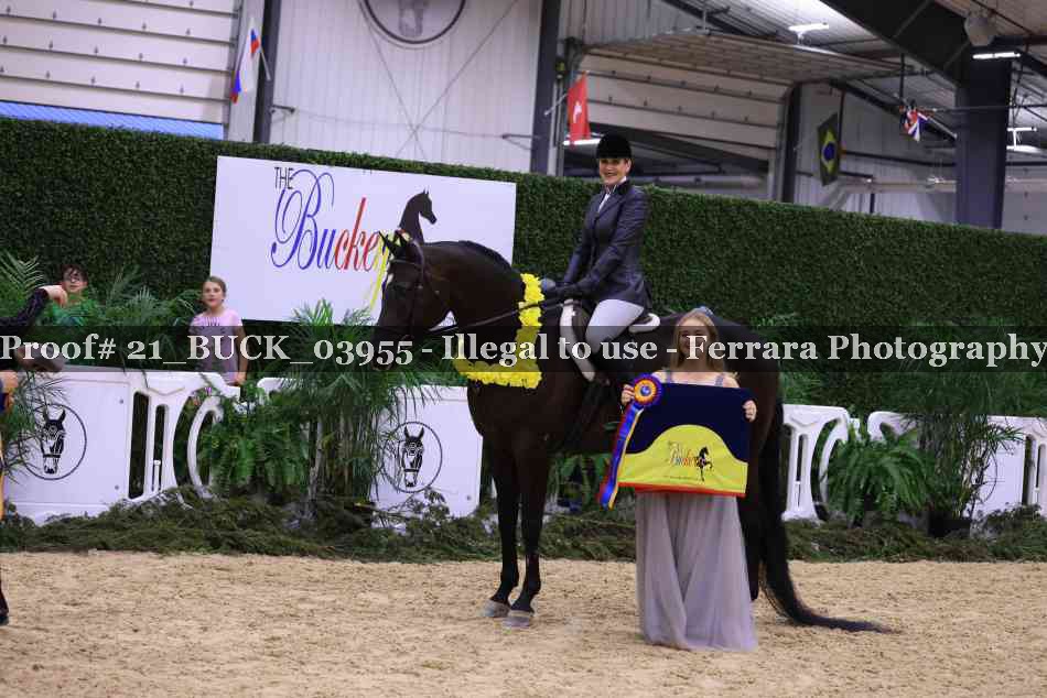 Proof 21_BUCK_03955