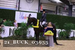 21_BUCK_03955 proof