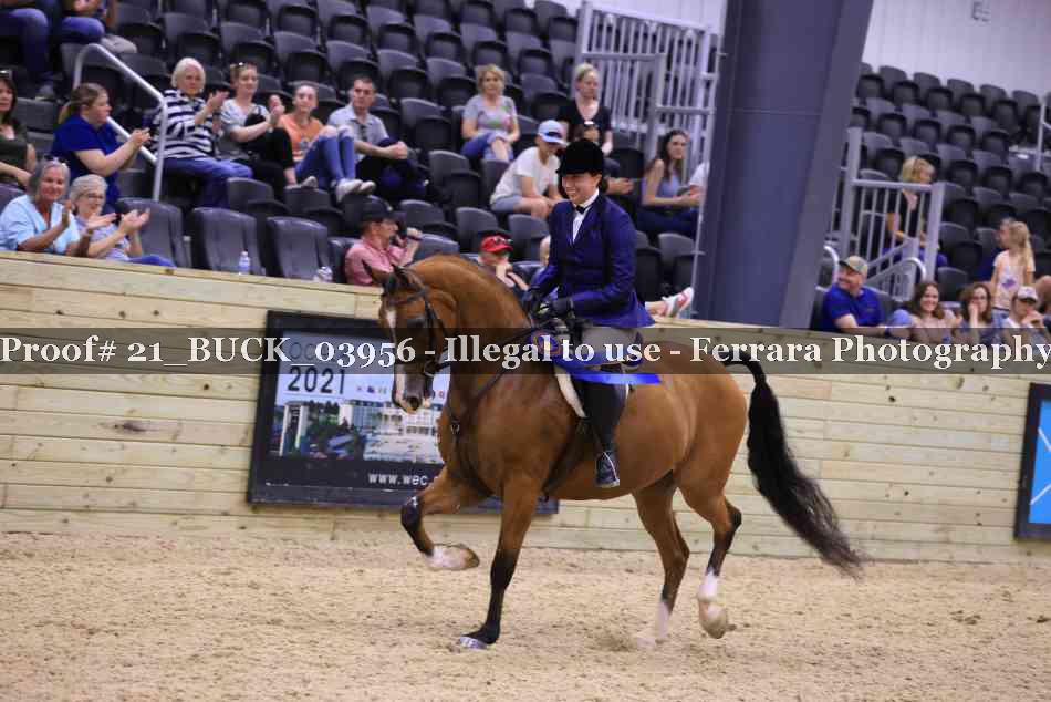 Proof 21_BUCK_03956