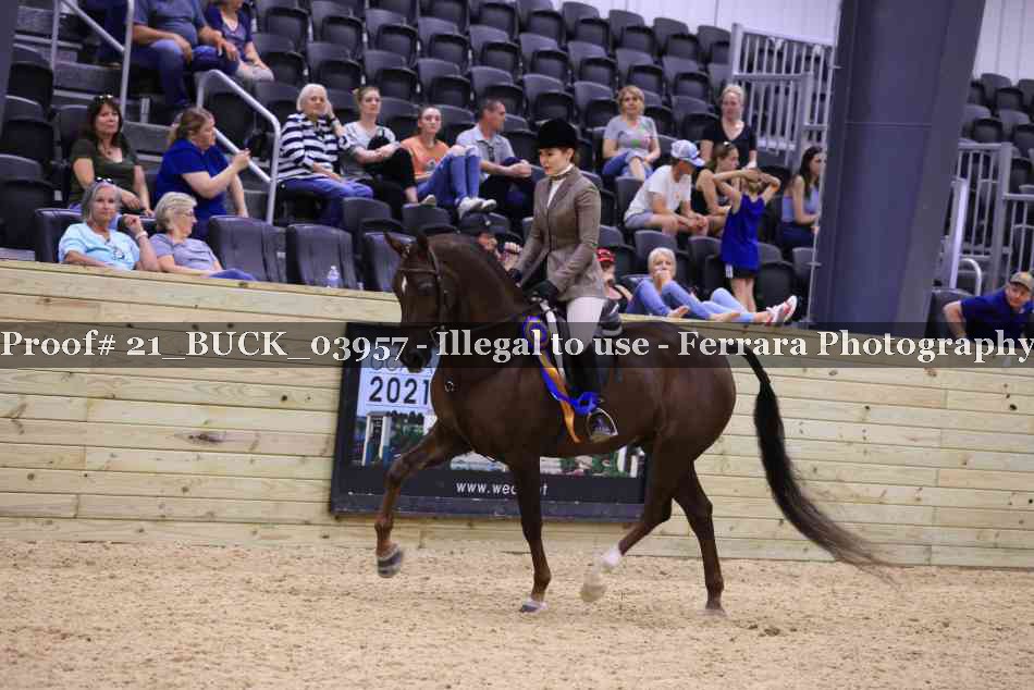 Proof 21_BUCK_03957