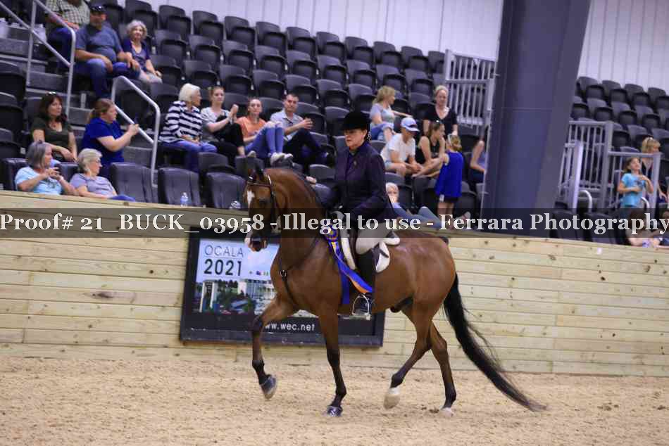 Proof 21_BUCK_03958