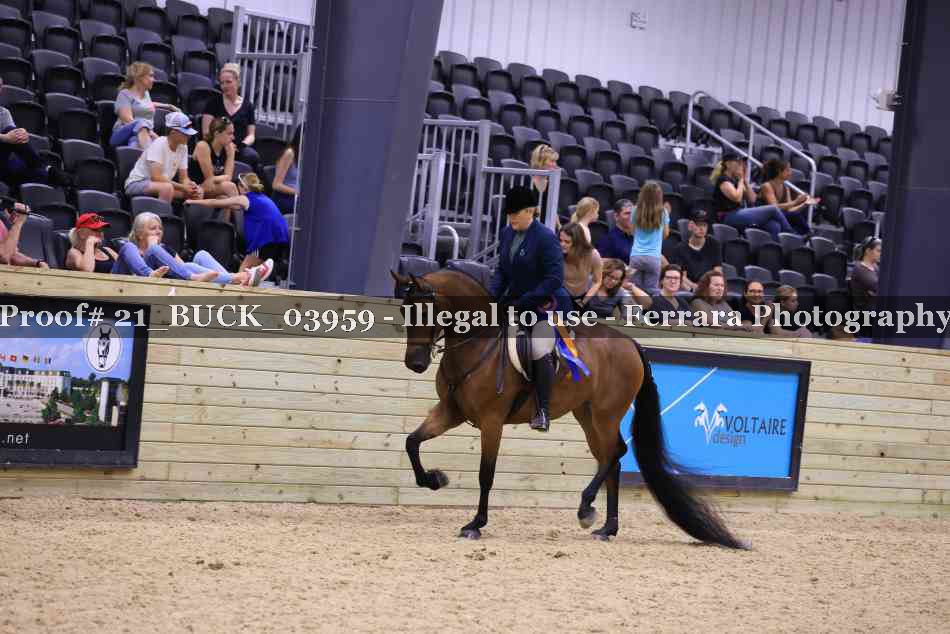 Proof 21_BUCK_03959