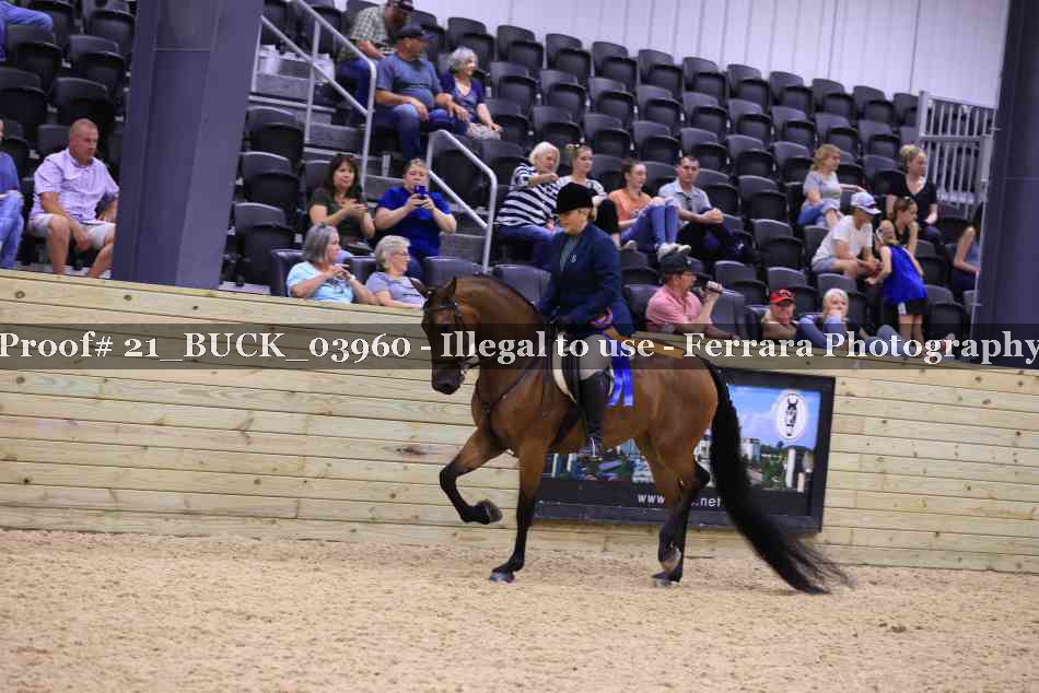 Proof 21_BUCK_03960