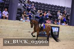 21_BUCK_03960 proof