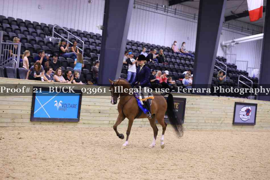 Proof 21_BUCK_03961