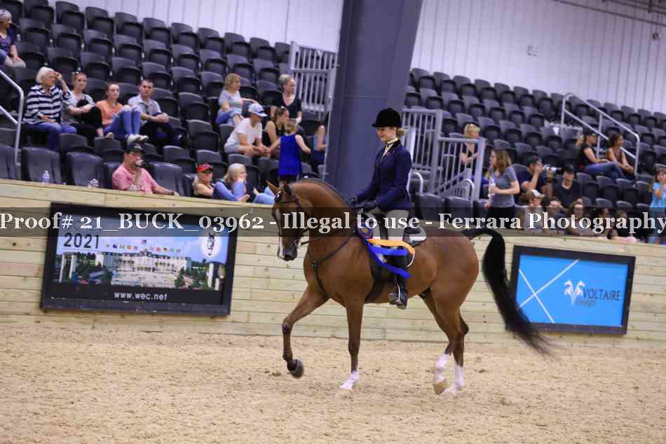 Proof 21_BUCK_03962
