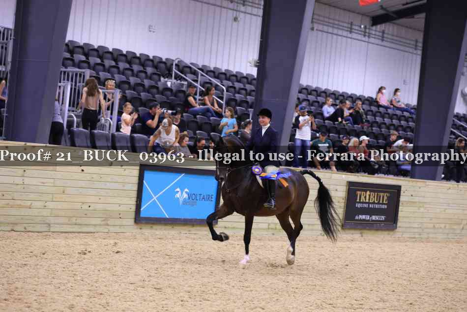 Proof 21_BUCK_03963