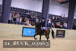 21_BUCK_03963 proof