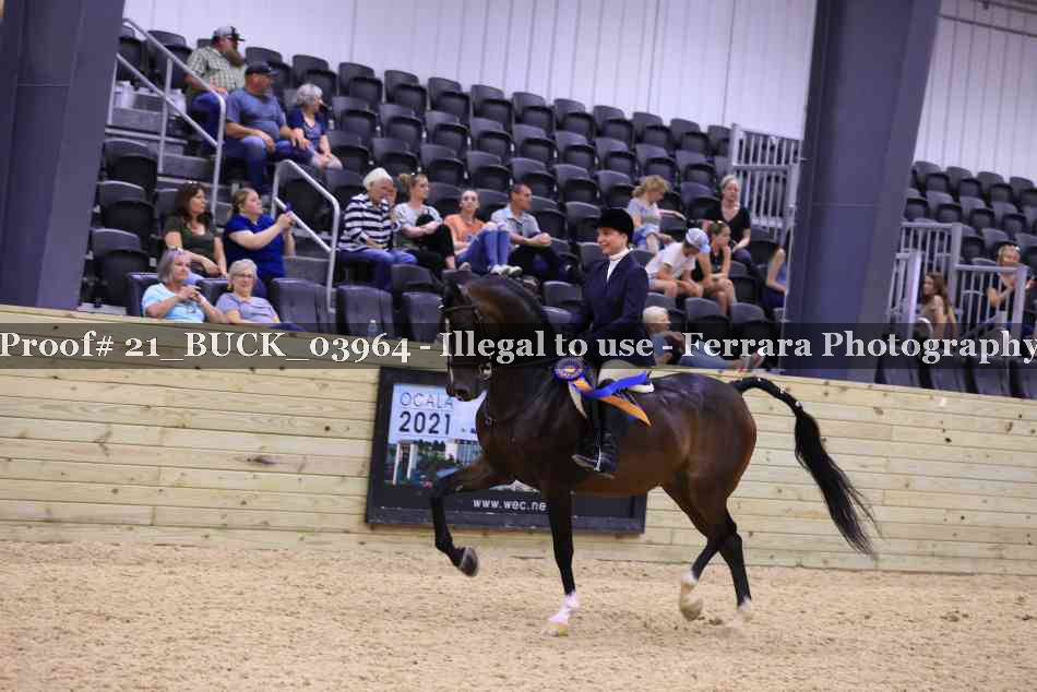 Proof 21_BUCK_03964