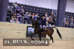 21_BUCK_03964 proof