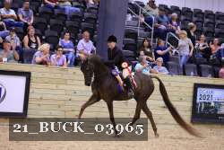 21_BUCK_03965 proof