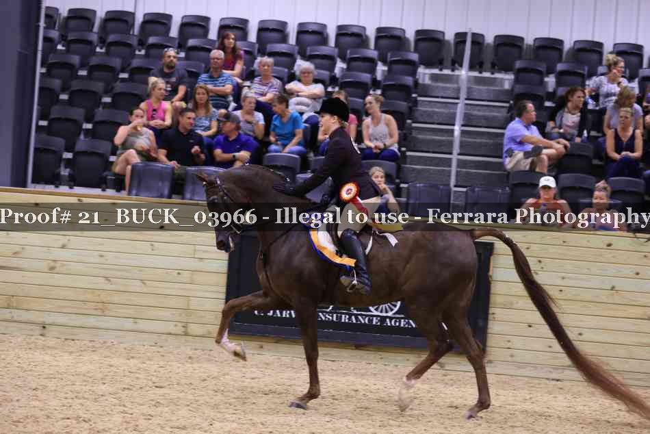 Proof 21_BUCK_03966