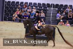 21_BUCK_03966 proof
