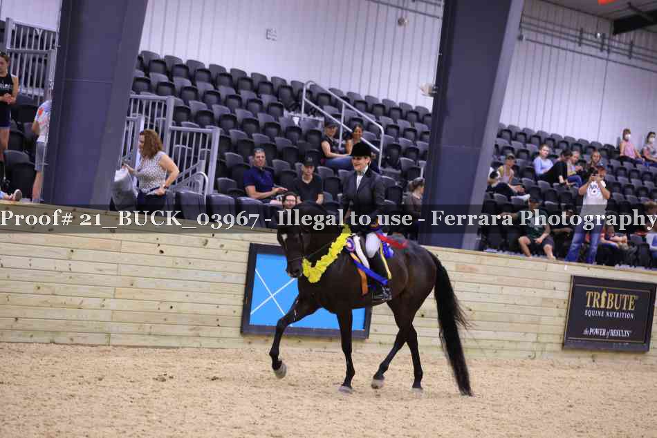 Proof 21_BUCK_03967