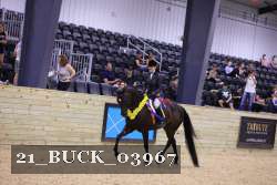 21_BUCK_03967 proof