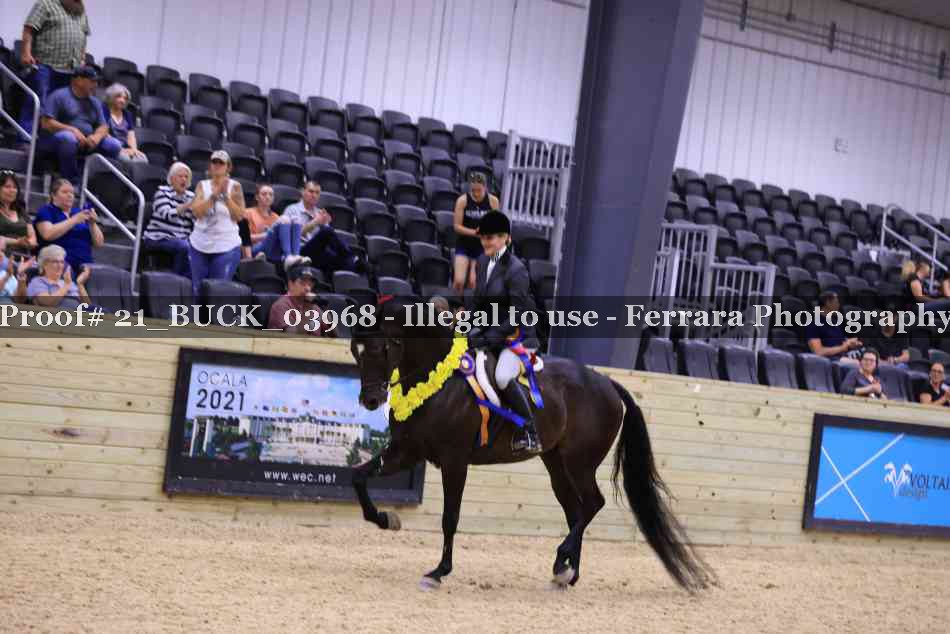 Proof 21_BUCK_03968