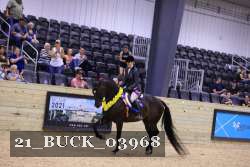 21_BUCK_03968 proof