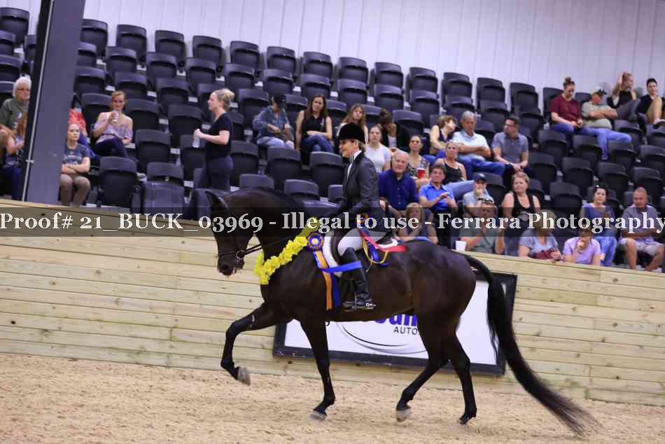 Proof 21_BUCK_03969