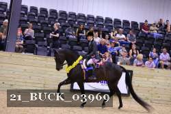 21_BUCK_03969 proof