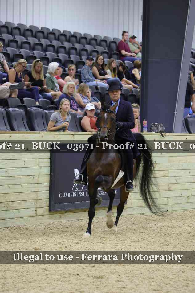 Proof 21_BUCK_03971