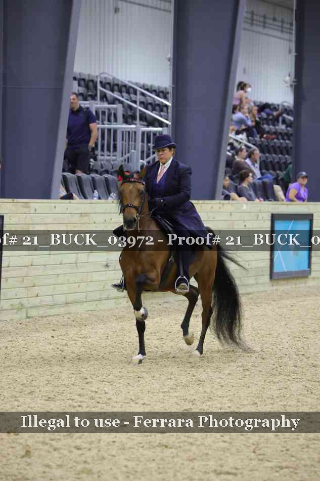 Proof 21_BUCK_03972