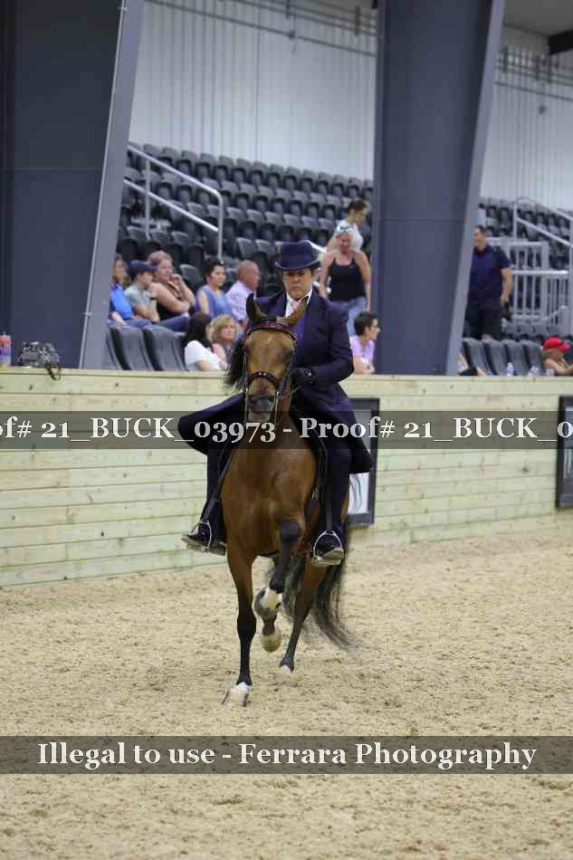 Proof 21_BUCK_03973