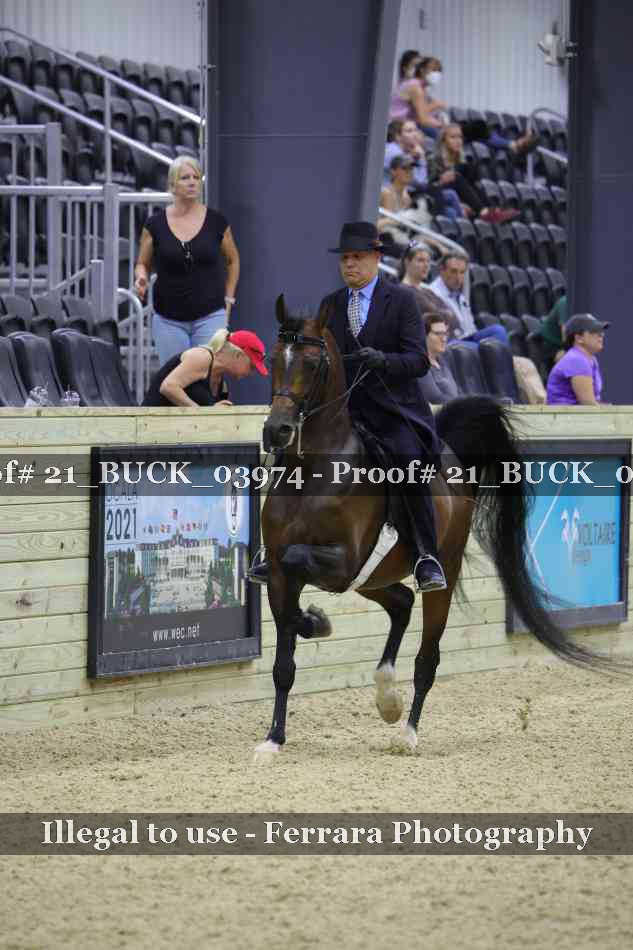 Proof 21_BUCK_03974