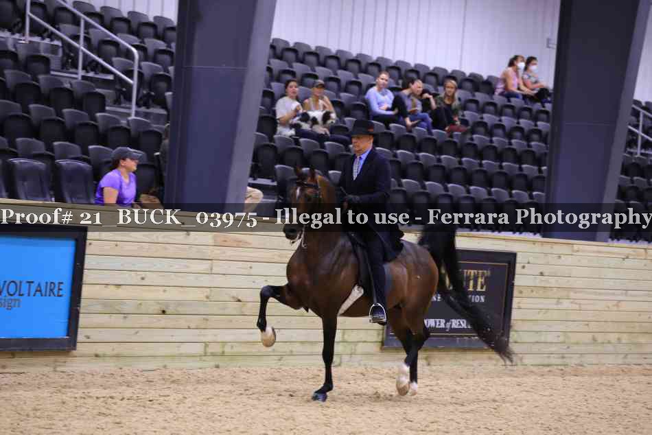 Proof 21_BUCK_03975