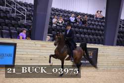 21_BUCK_03975 proof