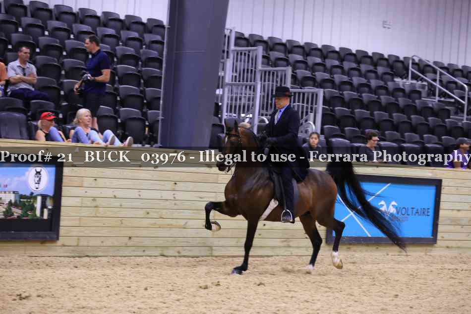 Proof 21_BUCK_03976